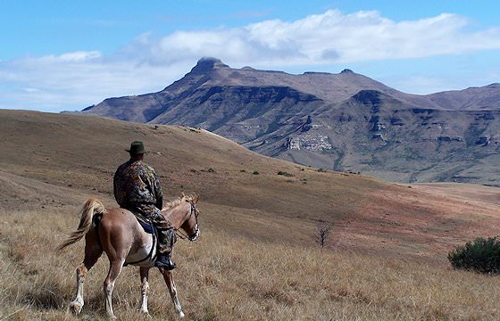 A hunter on horseback in the eastern Free State.