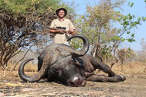 A buffalo hunt in Southern Africa.