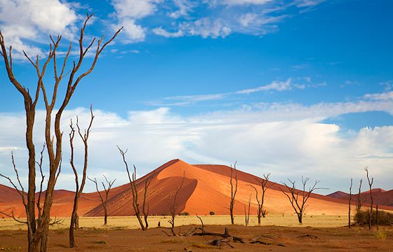 Dramatic scenery at Sossusvlei in Namibia.