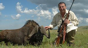 A black wildebeest hunt in the Free State.
