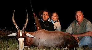 A blesbok hunted on a safari in South Africa.