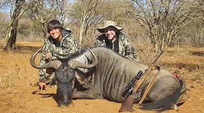 Blue wildebeest can be hunted on a variety of different terrains.