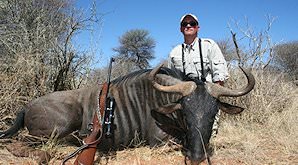Blue wildebeest hunted in South Africa.
