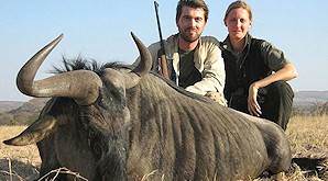 A pair of hunters with a blue wildebeest trophy.