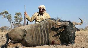 A hunter with his blue wildebeest trophy.