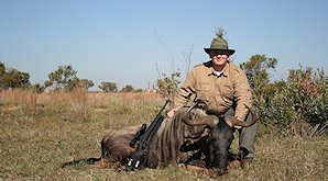 A blue wildebeest hunt in South Africa.