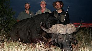 A trio of hunters with their Cape buffalo trophy.