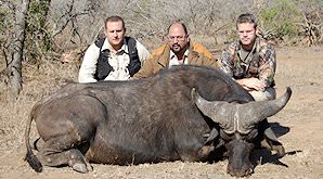 A team of hunters with their buffalo trophy.