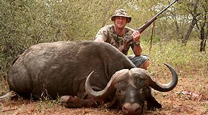 A buffalo hunt in South Africa.