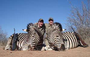 Twin zebra trophies are posed for a photograph with their two hunters.