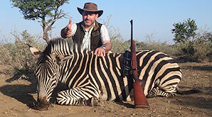A zebra hunted in the eastern Free State.