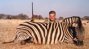 Burchell's zebra are also known as plains zebra.