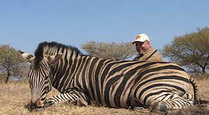 A successful Burchell's zebra hunt.