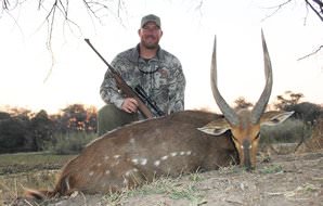 A fine bushbuck trophy hunted in Southern Africa.