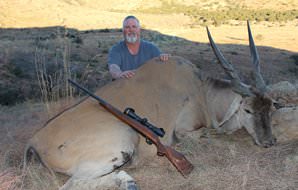 An impressive eland trophy taken on a South African hunting safari.