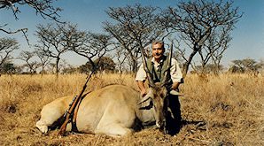 An eland hunted on safari in South Africa.