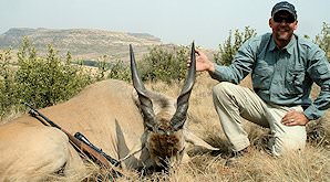 A Cape eland hunted on safari in South Africa.