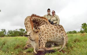 A giraffe hunted on a safari in South Africa.