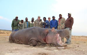 A proud hunting team with a hippo trophy.