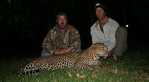 An evening leopard hunt.