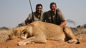 A successful lion hunt in the Kalahari.