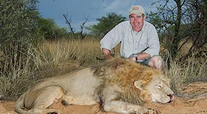 A lion hunt in the Kalahari.