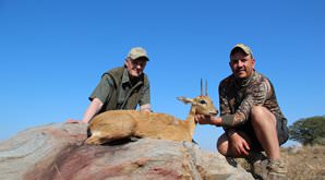 A oribi trophy is presented on a rock.