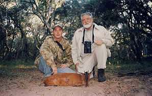 A red duiker hunt in Southern Africa.