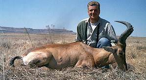 A red hartebeest hunted in the Free State.
