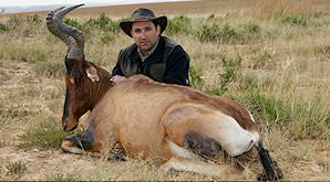 A red hartebeest hunt in South Africa.