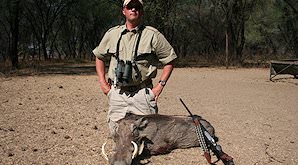 Warthog can be hunted throughout Southern Africa.