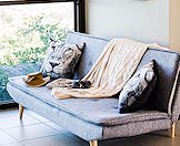 A plush couch with lion-faced throw pillows.