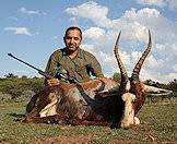 Blesbok are typically hunted in the open spaces of the eastern Free State.