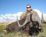 Hunt the black wildebeest on open plains.