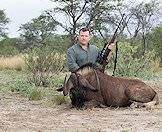 Black wildebeest were repopulated through hunting and conservation efforts.