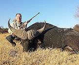 A South African buffalo hunt.