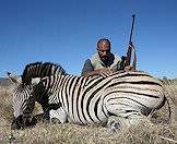 Burchell's zebra can be hunted almost anywhere in South Africa.