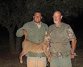 A caracal hunt in South Africa's Eastern Cape province.