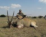 A hunter poses alongside his eland trophy.