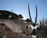 Hunting gemsbok in the Kalahari is ideally paired with lion hunting.