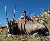 A hunter display his gemsbok trophy for a memorable photograph.
