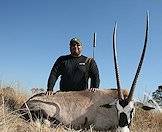 The gemsbok is revered for his incredible horns.