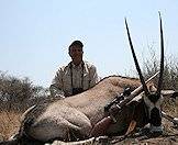 Gemsbok can be extremely dangerous when wounded or cornered.