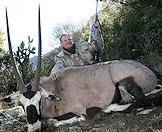 The gemsbok is also available on hunting concessions in the Free State.