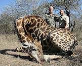 Trust your professional hunter when hunting the giraffe.