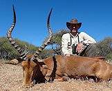 Impalas can be hunted almost anywhere in South Africa.
