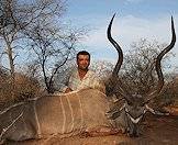 The kudu is included in a number of our hunting packages.