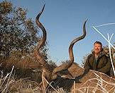 African hunters dream of fine kudu trophies.