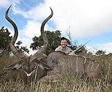 The kudu is revered for its spectacular spiral horns.