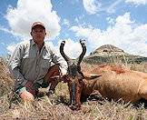 Pursue the red hartebeest on the open plains.
